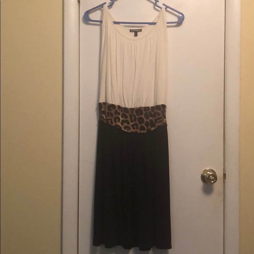Express dress